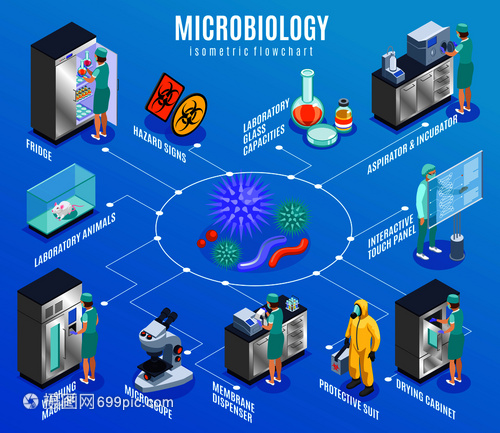 微生物学等距流程图与冰箱实验室动物洗衣机显微镜膜分配器防护服等描述矢量插图