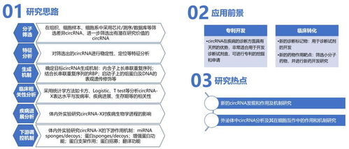 普略医学 临床医生的转化医学研究平台