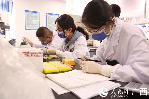 桂林医学院 打造特色科研平台 赋能桂北医学研究